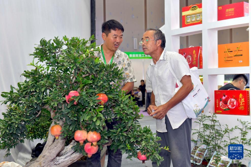 注册送金的
